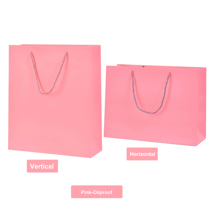 Gift Bags with Handles Cardboard Paper Bags Bulk for Baby Shower, Birthday, Wedding, Party Favors